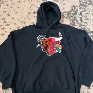 Chicago sports teams hoodie